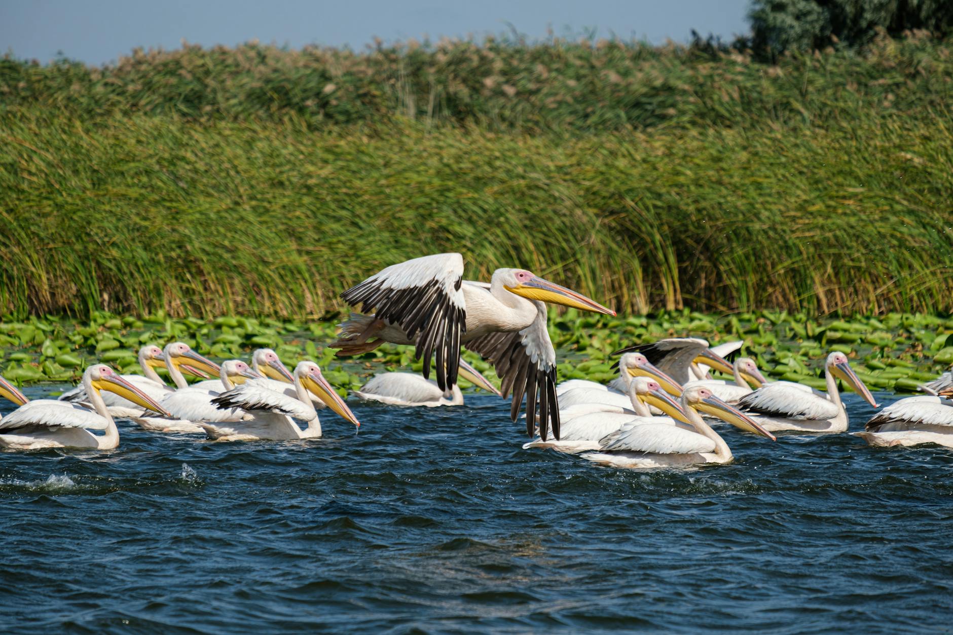 Delta în septembrie – excursii liniștite și răcoroase